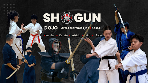 Shogun Dojo Cancún