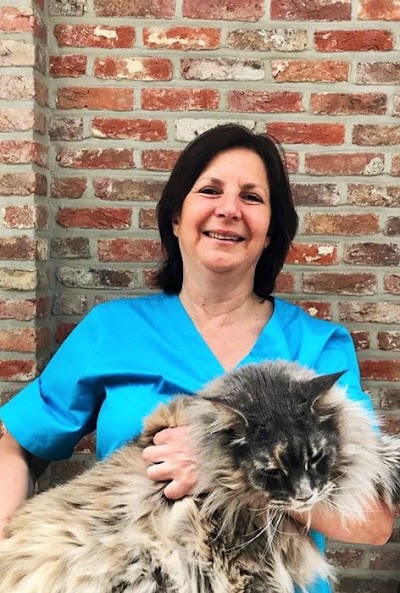 veterinary-care