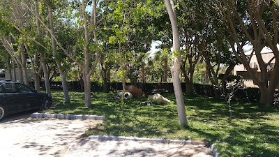 Photos of P&eacute;pini&egrave;re Garden Center