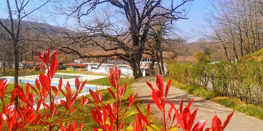 Bar-Restaurante Camping Etxarri