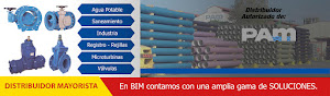 Corporación BIM SAC. 9