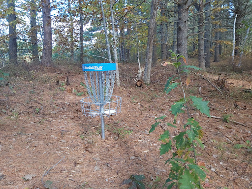 Ravenwood disc golf park Logo