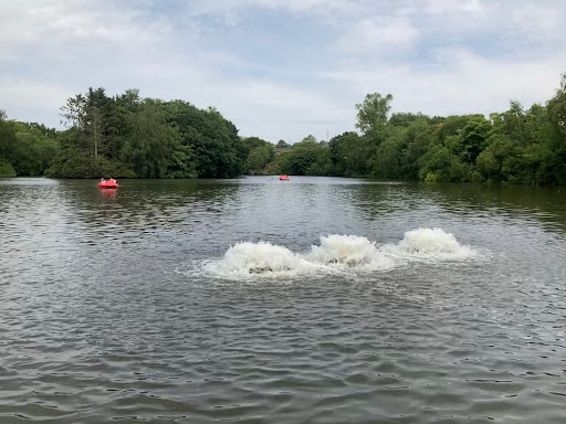 Stamford Park Boating Lake - Thumbnail