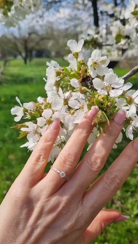 Comentarii opinii despre Jubiler DG