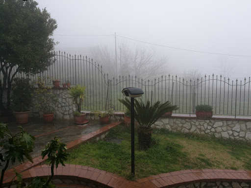 Pietre Vive di Giuseppe Larusso - Thumbnail