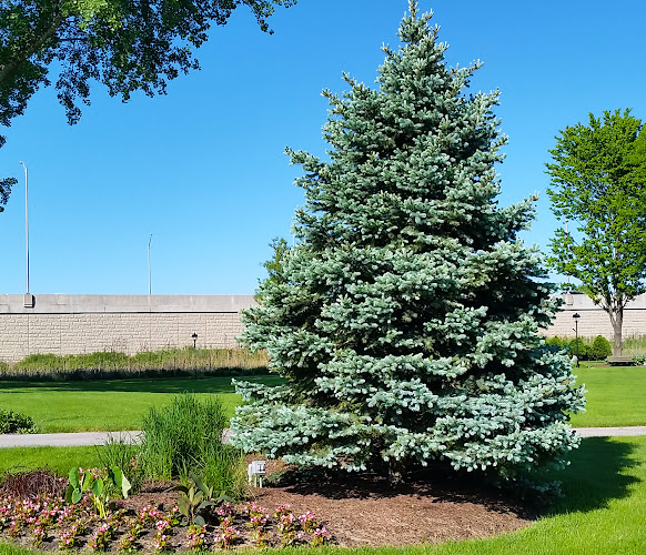 Dry Rock Trees Nursery