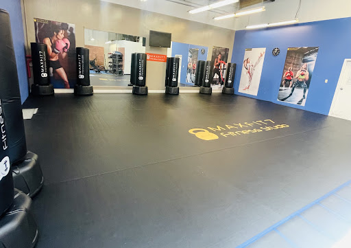Maxfit7 - Visual
