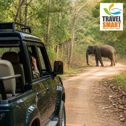 Ready to escape the city and explore the wild? Travelsmart24 travel tourism in Rajiv Nagar, Mysur… post image