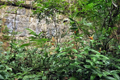 Photos of Parque arqueologico y monumento cultural aguateca