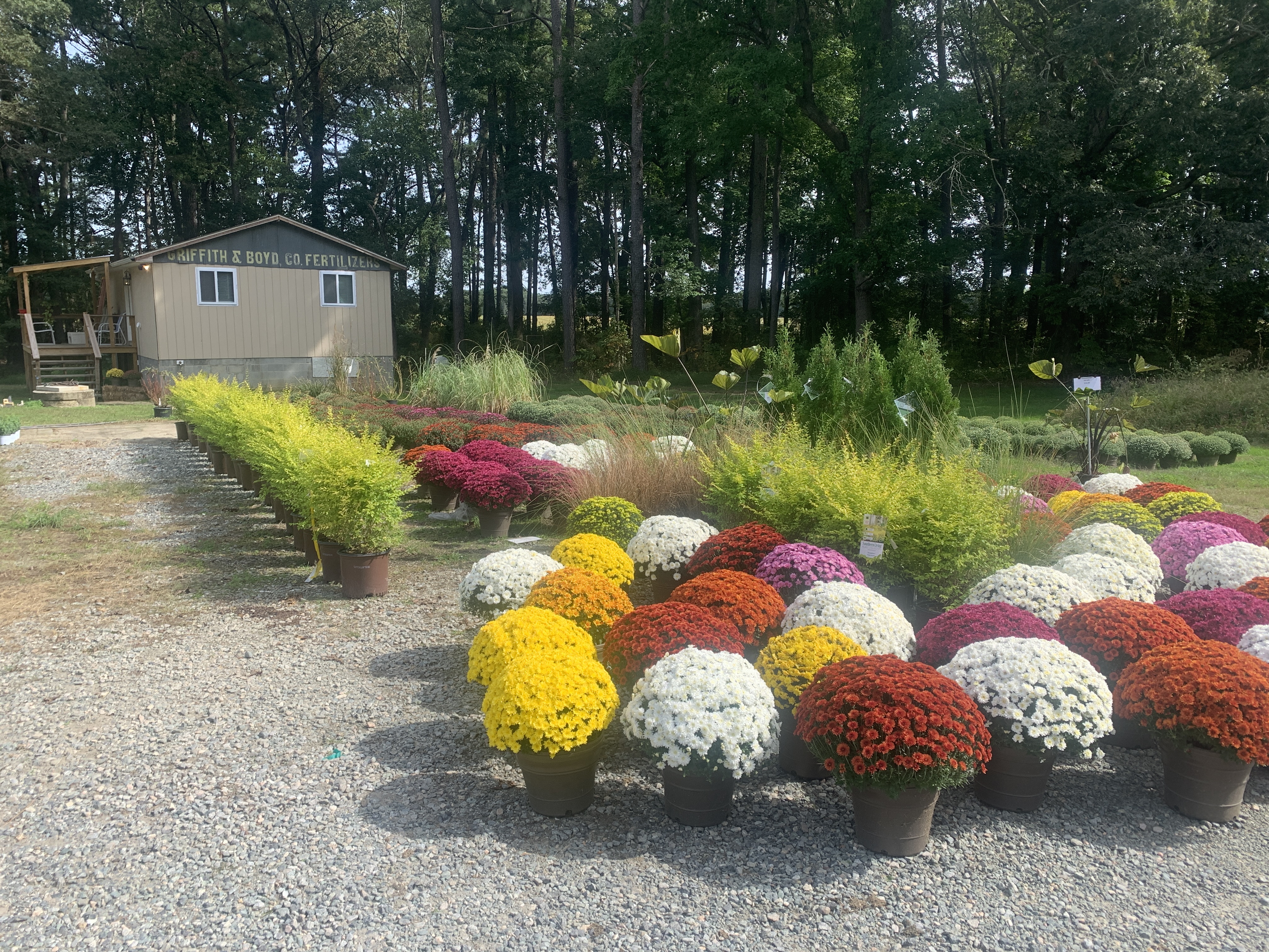 New Leaf Nursery & Cut Flower Farm