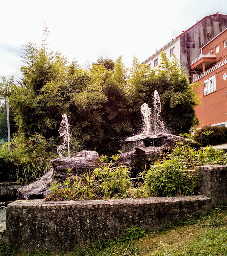 Parque do Coto - Visual