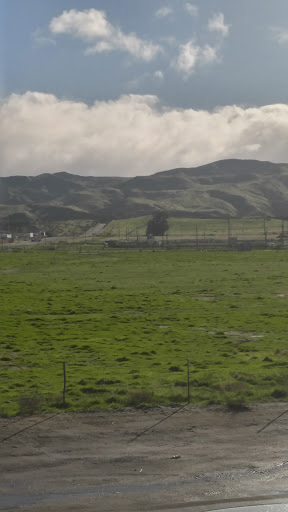 Elmtree Estates Rentals in Coalinga - Thumbnail