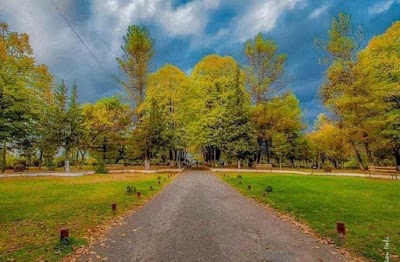 Geraldinë Park