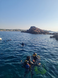 Photo n°23 de Aquatic Rando - Plongée Fréjus à Fréjus (Centre de sports d'aventure)