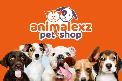 AnimalExz - Visual