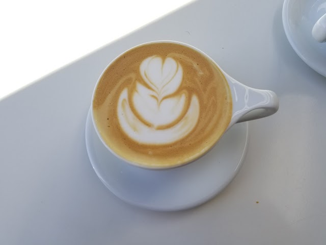 Steelhead Coffee