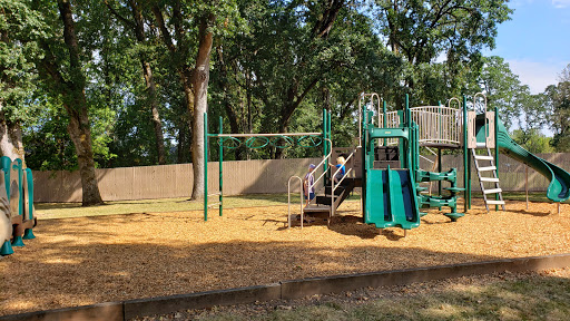 Acorn Park - Visual