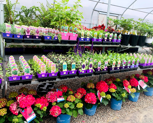 A+ Garden Center - Thumbnail