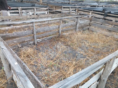 Photos of Joy Fish & Integrated Farm