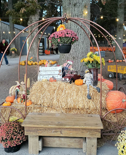Bandys Pumpkin Patch - Visual