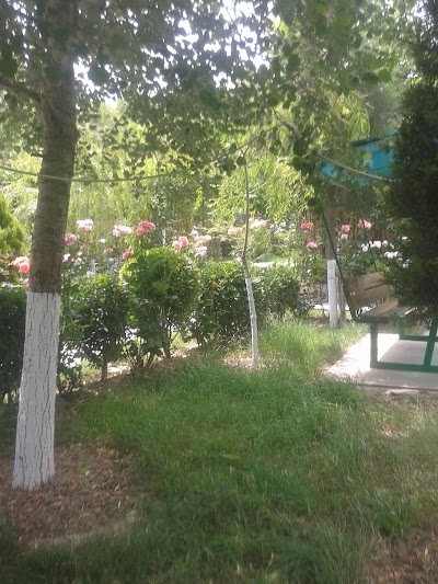 Photos of Yaşıl Market