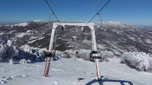 Opinii despre Χιονοδρομικό Κέντρο Πηλίου în Ρίο - Νυχτερινό κέντρο