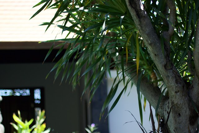 Villa Chunga-Changa