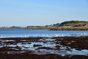 Photo n°6 de Les balades de Nicolas Guide touristique Noirmoutier à Noirmoutier-en-l'Île (Agence de visites touristiques)