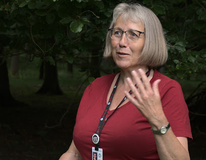 Slow Tours Copenhagen - Byvandringer i København og omegn