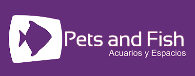 Photos of Pets And Fish