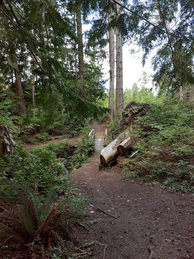 MacGregor Trail - Thumbnail