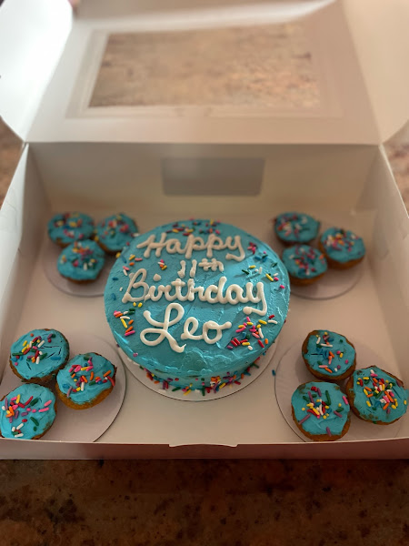 Curly Tail Cakes | Dog Bakery