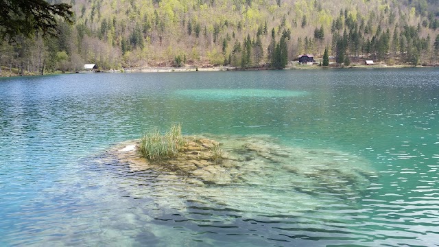 Laghi Di Fusine