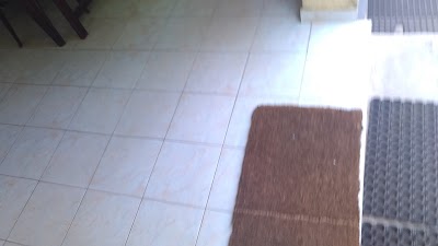 Photos of Government Veterinary Clinic
