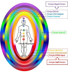 Photo n°2 de Hervé Barral Bio-energeticien à Rochetoirin (Praticien de médecine alternative)