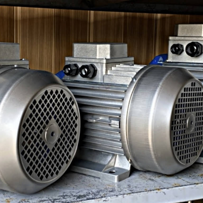 GEM Electric Motor srls Electric motor