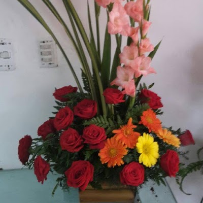 Photos of Mi Mayo Decoraciones