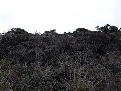 Photos of Thotupola Mountain of Sri Lanka