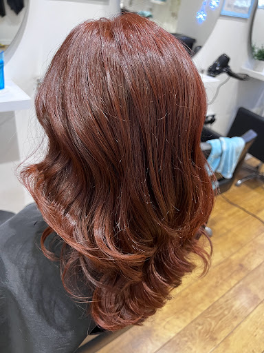 Darcie Reign Salon - Thumbnail