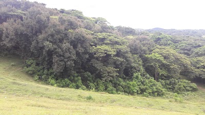 Photos of Hatillo dam wall