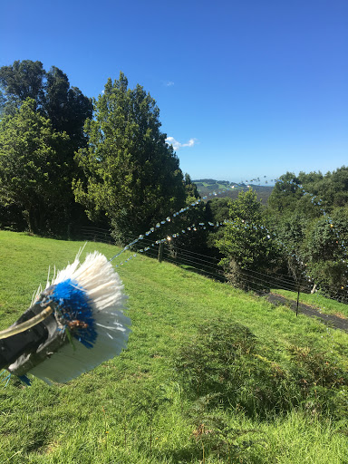 Blue Wren Window Cleaning Specialists - Thumbnail