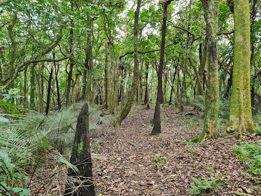 Redhill Scenic Reserve Gallery - New Zealand