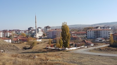 Sorgun