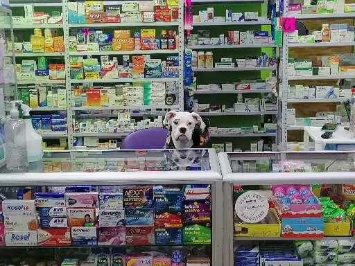 Farmacia/consultorio medico/ultrasonido FARMA LIFE al
