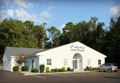 College Road Animal Hospital - Thumbnail