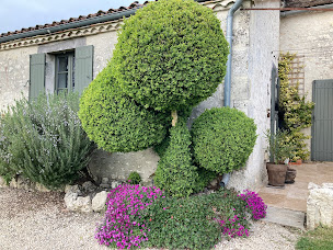 Photo n°12 de Chambre d'Hôtes La Ferme Buissonniere Bardou à Bardou (Chambre d'hôtes)