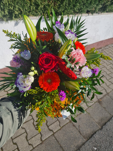 Blumen-Wirth - Visual
