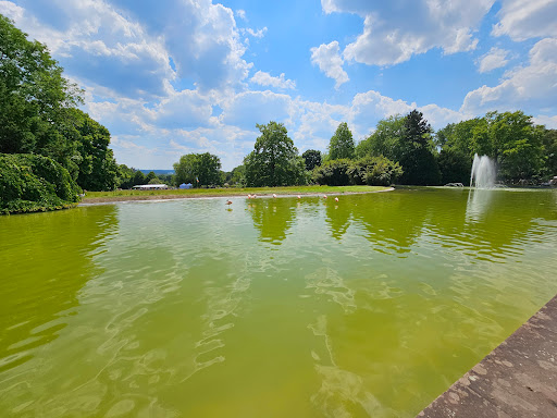 Flamingoteich (Westfalenpark)