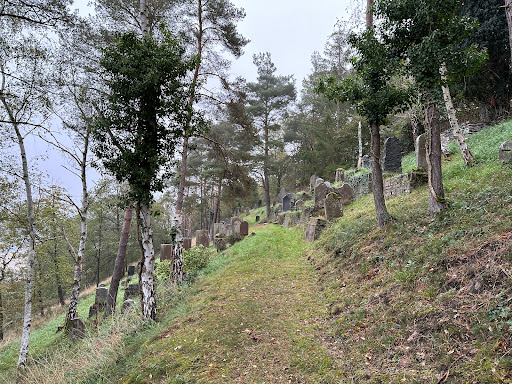 Jüdischer Friedhof Oberwesel - Thumbnail