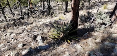 Red Cloud Campground